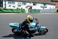 enduro-digital-images;event-digital-images;eventdigitalimages;mallory-park;mallory-park-photographs;mallory-park-trackday;mallory-park-trackday-photographs;no-limits-trackdays;peter-wileman-photography;racing-digital-images;trackday-digital-images;trackday-photos